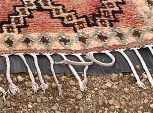 Fringe and edge detail of Pink Vintage Moroccan Rug with Black Diamond Pattern, 400 × 180 cm.