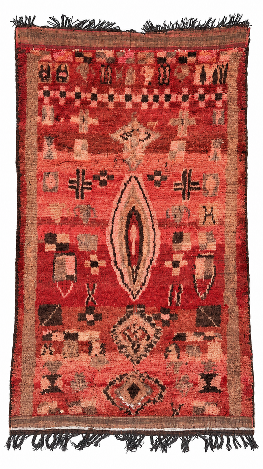Vintage Berberteppich Korallrot mit dunklen Symbolen – 286 × 156 cm – Gesamtansicht