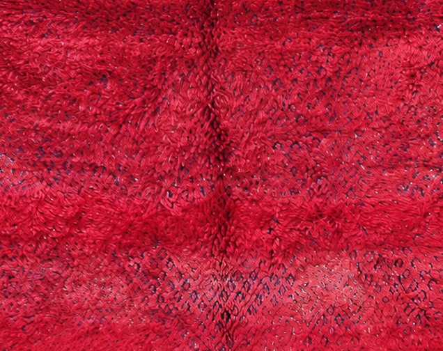 Detail of Red Vintage Moroccan Rug with Delicate Patterned Panels, 290 × 190 cm.